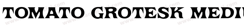 Tomato Grotesk Medium字体转换